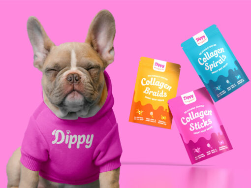 DiPPY Fun for Pets